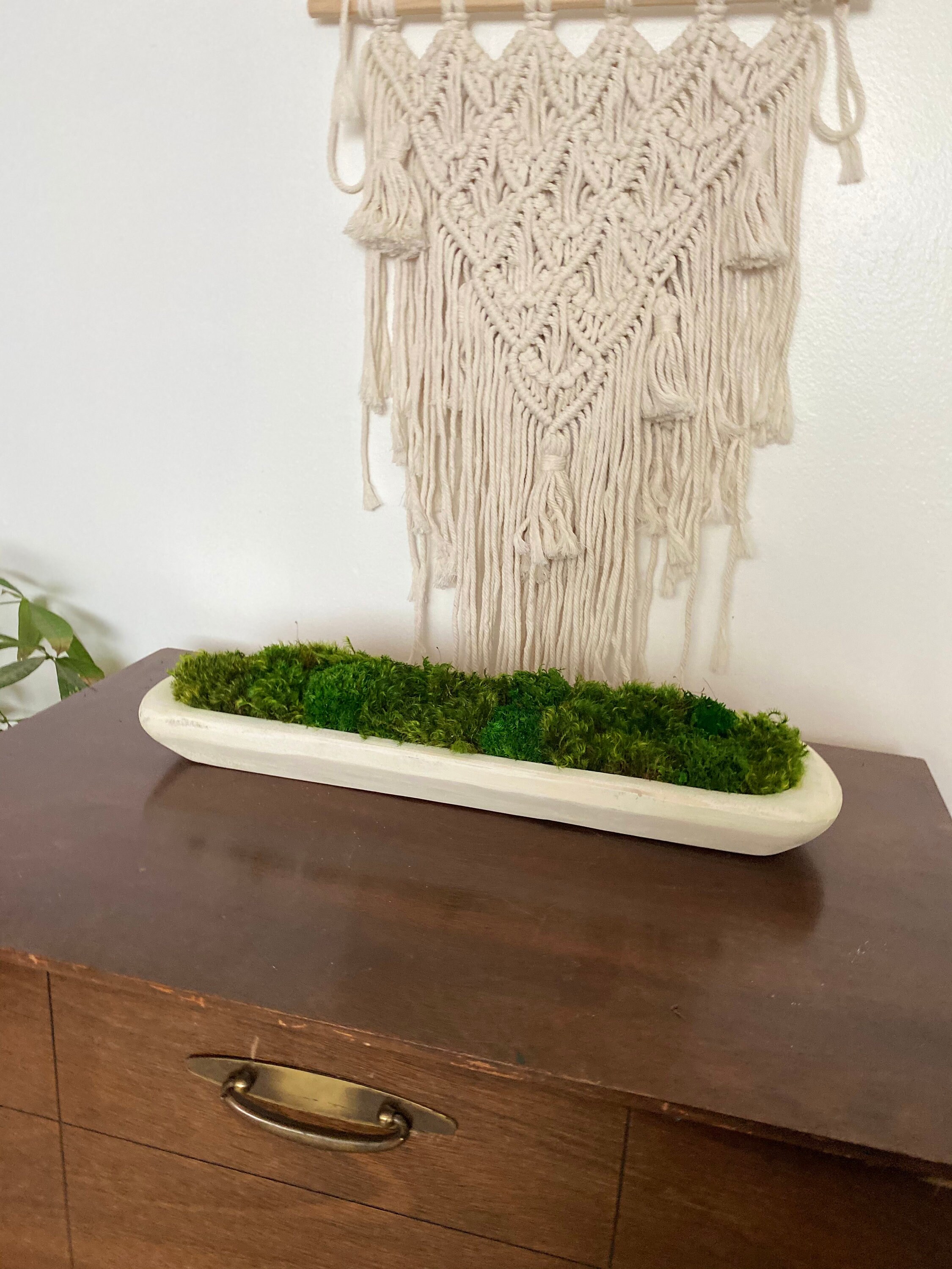 Dough Bowl Coffee Table Decor With Preserved Moss Rustic Home Etsy