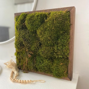 Moss Wall Art, Home Decor Preserved Moss Wall Decor, Home Office Decor, Minimalist Style, Natural Art, Gift For Nature Lover,