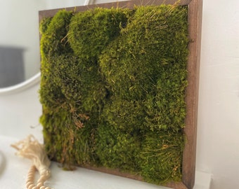 Moss Wall Art, Home Decor Preserved Moss Wall Decor, Home Office Decor, Minimalist Style, Natural Art, Gift For Nature Lover,