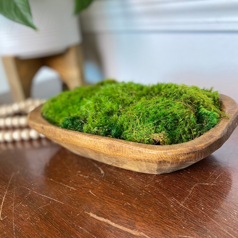 Dough Bowl Moss Centerpiece Coffee Table Decor Home Office Etsy