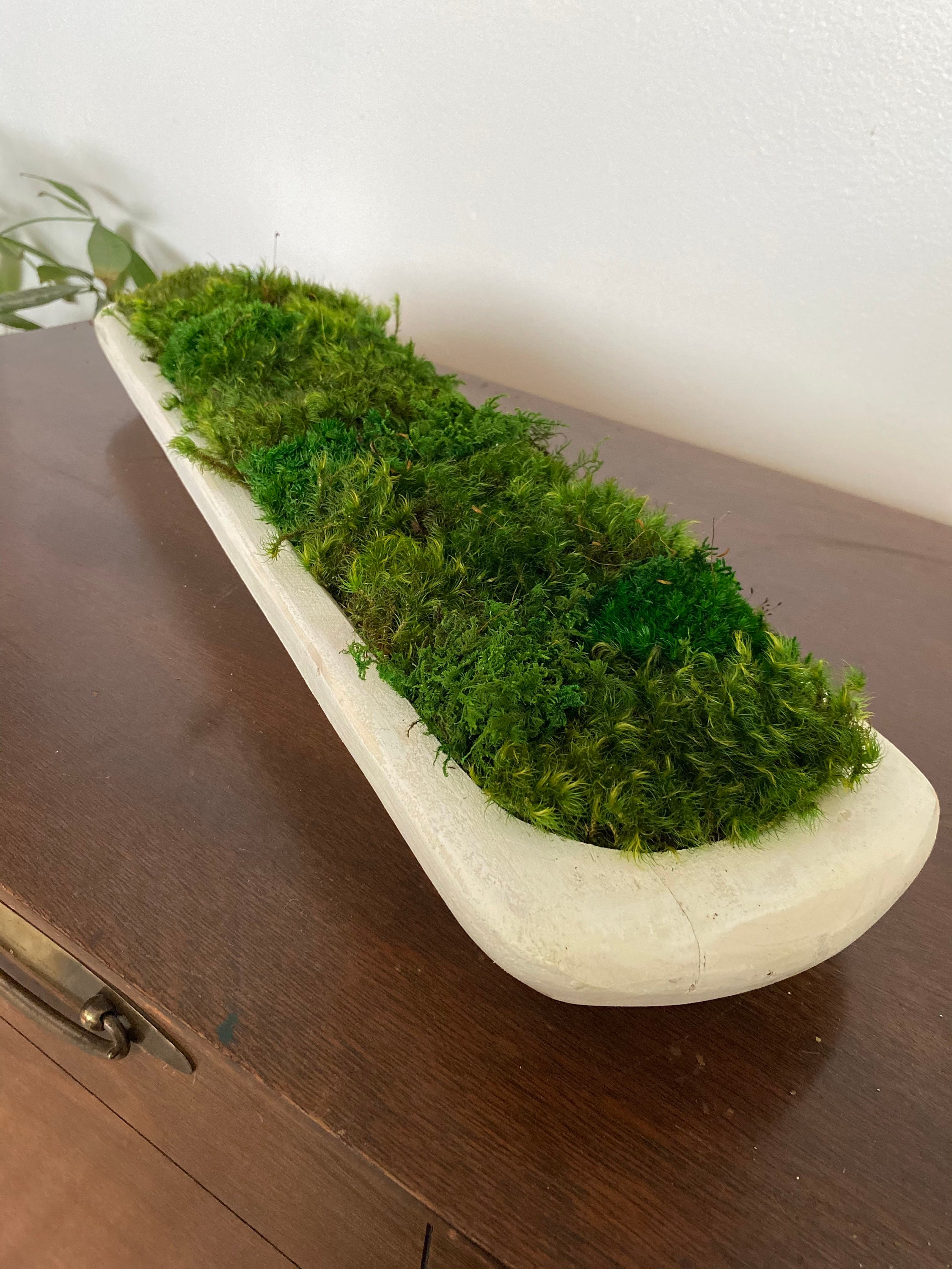 Dough Bowl Coffee Table Decor With Preserved Moss Rustic Home Etsy