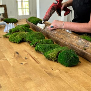 High-Quality Preserved Moss for DIY Projects, Centerpieces, & Floral Arrangements, Cushion Moss, Vibrant Green