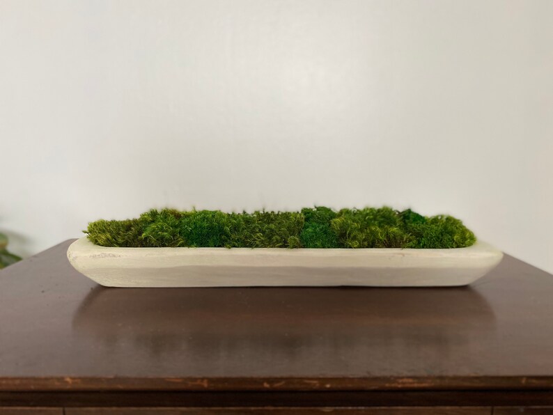 Dough Bowl Coffee Table Decor With Preserved Moss Rustic Home Etsy