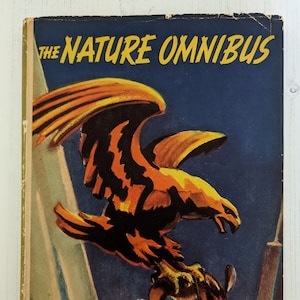 Der Natur-Omnibus 1945 Vintage Kinderbuch Naturgeschichten