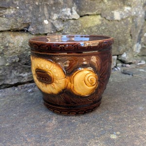 Op de afbeelding: Een bruine keramische pot met een bloemenontwerp. De pot heeft een glanzende afwerking en een gedetailleerd reliëfpatroon met gestileerde bloemen en bladeren. De rand en de basis hebben decoratieve randen. De pot wordt waarschijnlijk gebruikt om te planten.