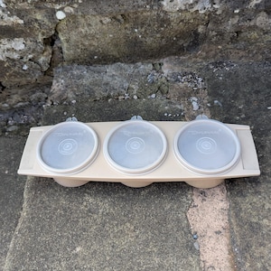 Vintage Tupperware Triple Condiment Storage Container 1970s