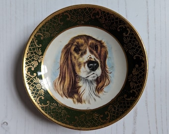 Royal Falcon Ironstone Irish Setter Design Small Trinket Dish