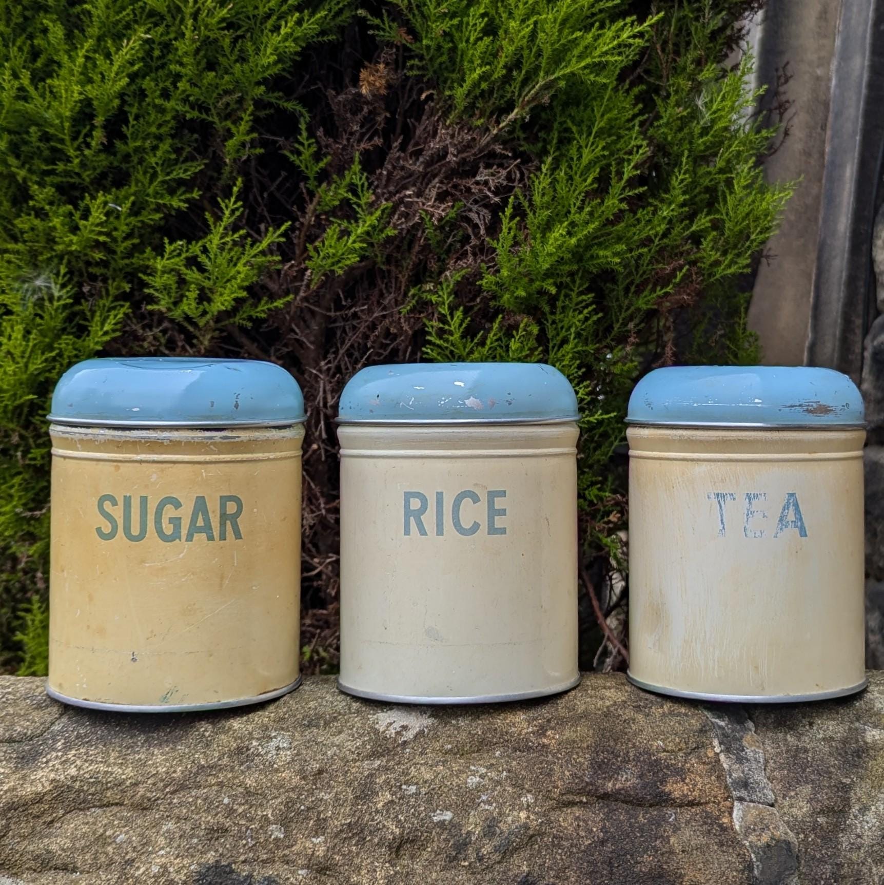 Worcester キャニスター缶　イギリス　ティン缶 50's 60's Vintage Worcester Ware Kitchen Tins: Tea, Sugar, Rice - Shabby