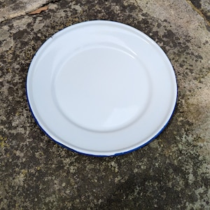 Vintage 1950s Enamel Plate: White & Blue Sturdypines China (26cm)