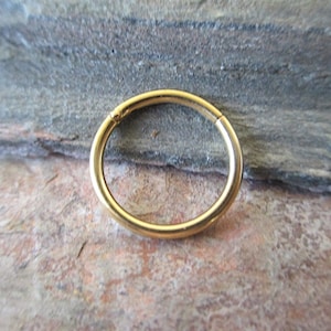 Anneau de nez continu / Anneaux de nez articulés / Septum à cliquet / Boucles d'oreilles Daith & Helix / 14G, 16G, 18G / 6 mm, 8 mm, 10 mm, 12 mm / Petit et grand