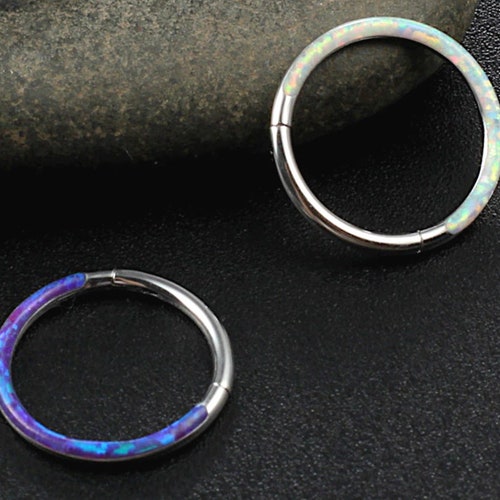 Titanium Nose Ring Seamless Hoop Segment Hoop Daith Helix | Etsy