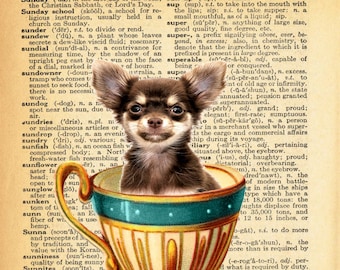 Chihuahua Pup in Teacup A4 Print