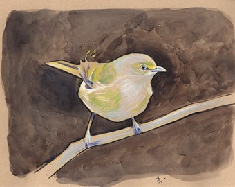 White-Eyed Vireo