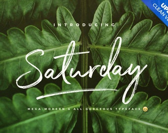 Handwritten rough font Modern ink font Calligraphy font Handwritten holiday font Font instant download Font Digital font Instant Saturday