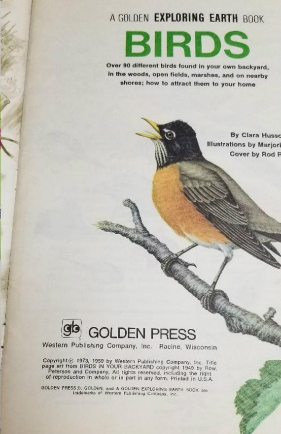 Nature Hikes And Birds Golden Exploring Earth Books Paperback Etsy