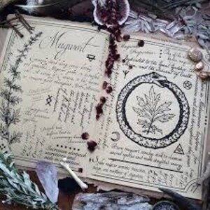 May include: An open book with a brown leather cover and pages filled with handwritten text and illustrations. The book features a drawing of a snake wrapped around a plant with a circle around it. The text on the page reads "Magick" and "The art of the Magickian lies in the understanding of the subtle forces and the harmony of the occult".