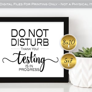 Do Not Disturb | Testing in Progress Printable Sign | 8x10 and 5x7 | School | Classroom Testing | Office Decor | DIGITAL INSTANT DOWNLOAD