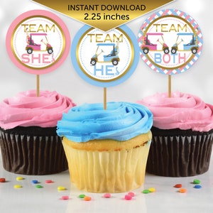 Twins Golf Theme Gender Reveal Cupcake Toppers | Team He She Both | 2.25 Inches | Baby Blue Pink Gold | Digital Printable INSTANT DOWNLOAD
