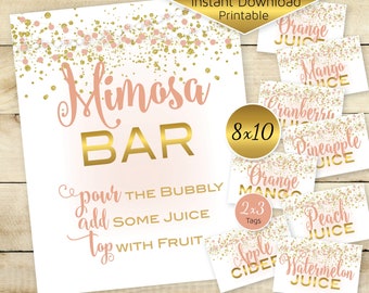 Mimosa Bar 8x10 Sign and Juice Flavor Tags | Birthday | Baby Shower | Bridal Shower | Rose Gold Garland Lights Confetti | DIGITAL DOWNLOAD