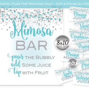 Mimosa Bar 8x10 Sign and Juice Flavor Tags | Mimosa Bar | Birthday | Baby Shower | Robin Egg Silver Confetti | DIGITAL DOWNLOAD