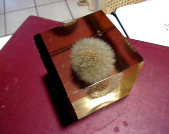 Gump's Dandelion Lucite, Resin paper weight
