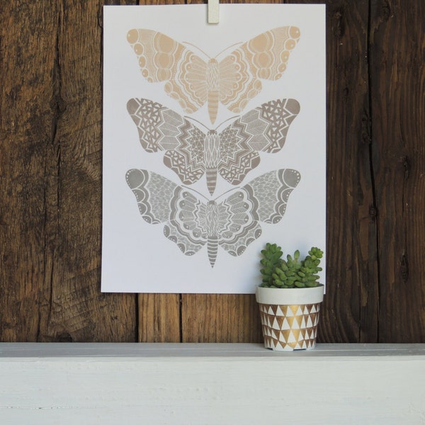 Three Desert Moths 8"x10" Art Print
