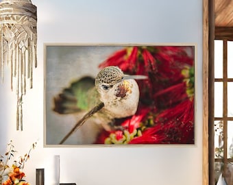 Fine Art Hummingbird Print- Wildlife Nature Photography, Bird Wall Art, Botanical Wall Decor, Gift for Bird Lovers