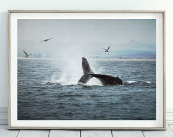 Grey Whale Tail Photo Print, Ocean Life Wall Art, Coastal Beach House Wall Decor, Monterey Bay California Art, Gift for Whale Lovers