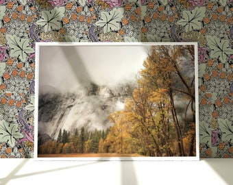 Fine Art Yosemite Autumn Print- Serene Nature Photography, California Woodland Wall Prints, Nature Art for Rustic Seasonal Home Decor
