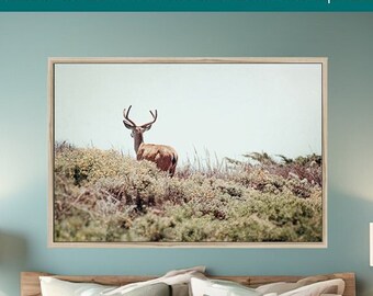 Fine Art Deer Print- Woodland Animal Photography Mid Century Kids Bedroom, Nursery Wall Decor