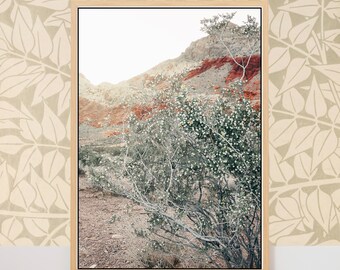 Fine Art Southwest Desert Canvas Print- Red Rock Nevada, Landscape Art Print for Rustic Boho Home Decor Gift