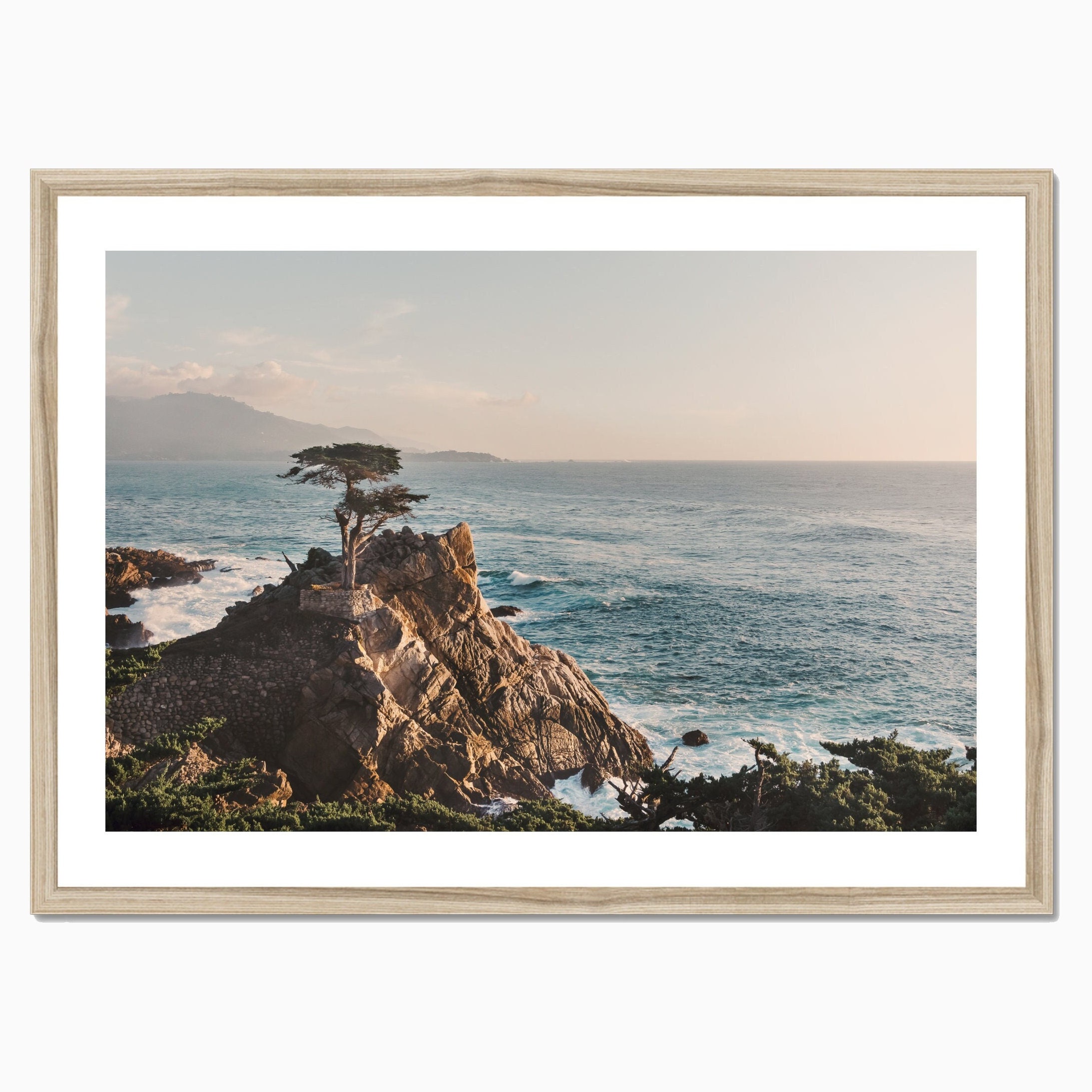 Lone Cypress Art Etsy