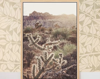 Red Rock Canyon Cholla Cactus Print- Nevada Desert Landscape Rustic Boho Fine Art Photography Print, Southwest Home Decor Wall Art
