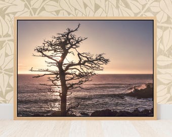Cypress Sunset Print, Pebble Beach 17 Mile Drive California Pacific West Coast, Beach Vacation Home, Coastal Decor Wall Art Gift