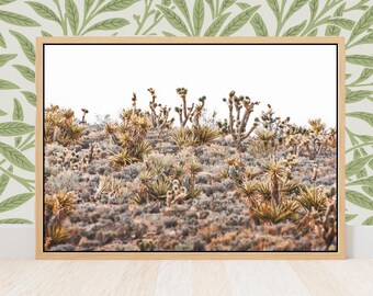 Desert Yucca and Joshua Tree Canvas Wall Art -  Southwestern Nevada Nature Print - Rustic Landscape Wall Decor Gift