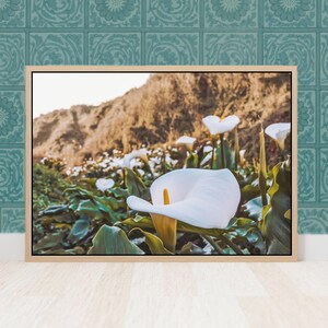 Fine Art Calla Lily Floral Print- California Art Landscape Print, Big Sur Print, Coastal Wall Decor