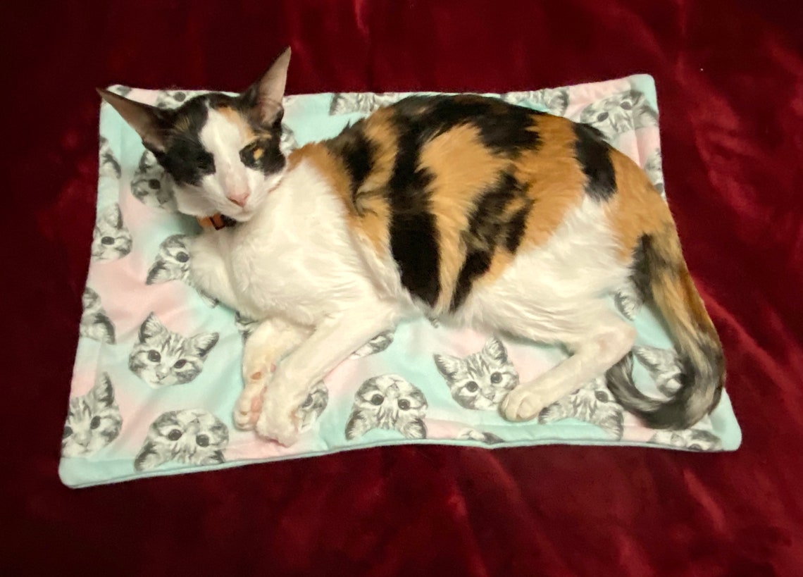 Catnip Cat Mat Cat Mat for Pet Carrier Cat Mat Organic Etsy