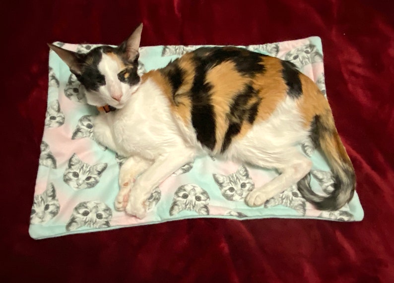 Catnip Cat Mat Cat Mat for Pet Carrier Cat Mat Organic Etsy