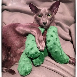 catnip pickle