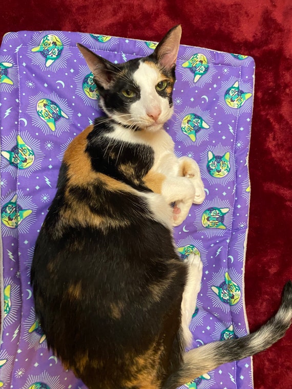 Catnip Cat Mat Cheshire Cat Mat for Pet Carrier Cat Mat Etsy