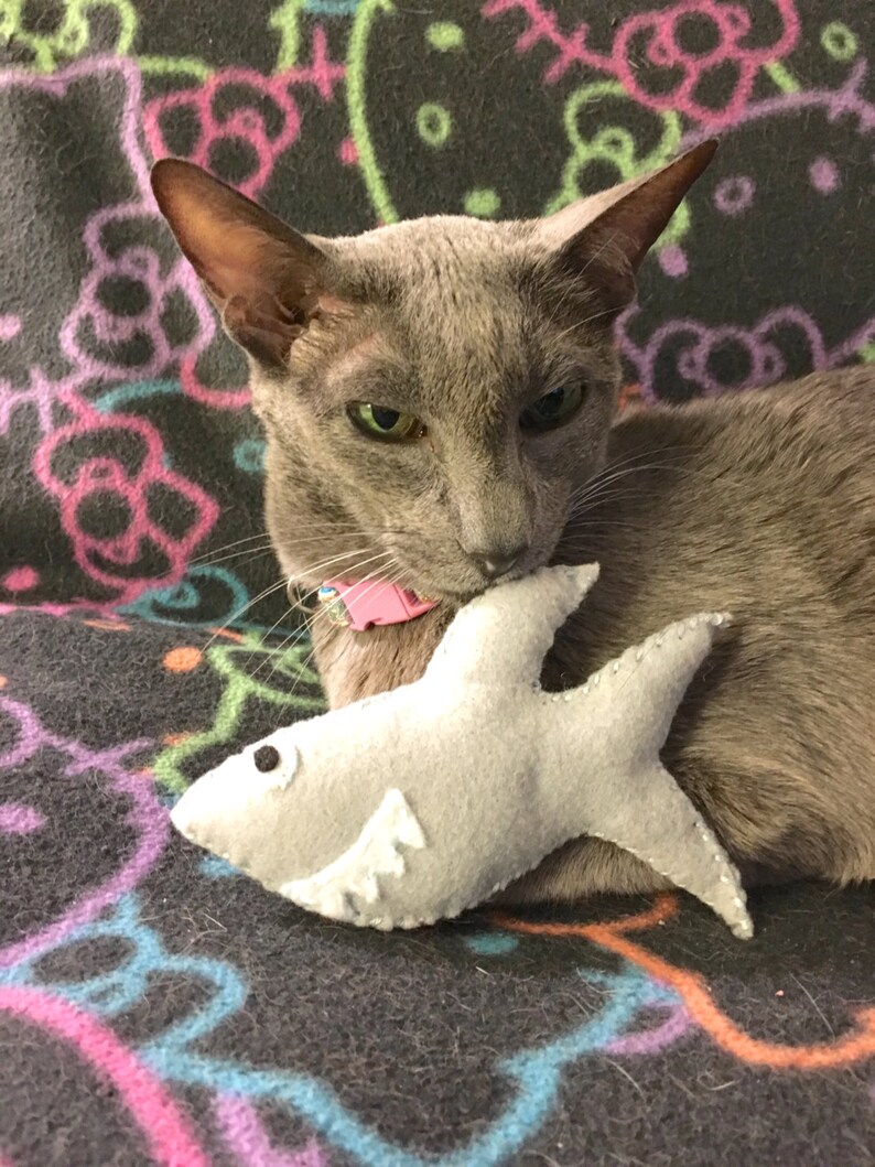 Shark Jaws Catnip Cat Toy Shark Week Felt Great White Shark Etsy