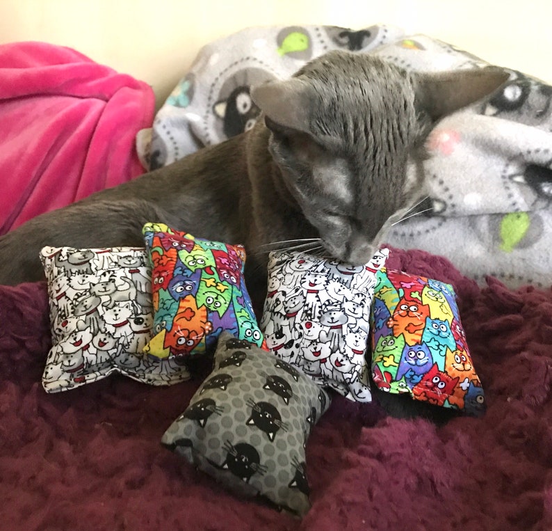10 Cat Catnip Pillow Toys Set 4 X 3 Catnip Toys 10 Pack of Etsy