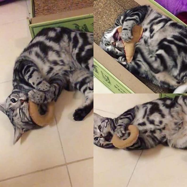 Cat Catnip Donut Toy Cat Toy Donuts Felt Donut Catnip Toys Etsy