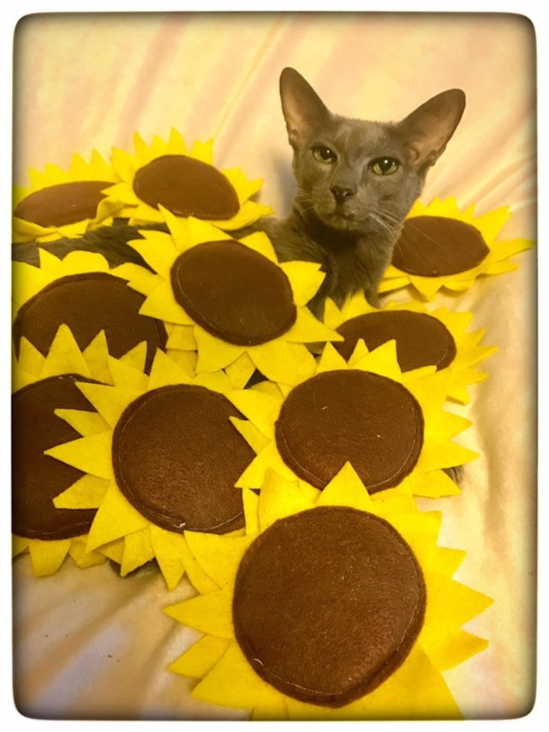 Sunflower Cat Toy Large All Catnip Filled Sunflower Toy Etsy