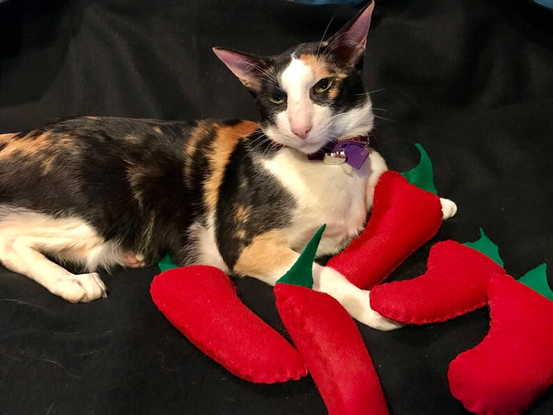Cat Toy Felt Chili Pepper Catnip Toys Chili Pepper Catnip Etsy