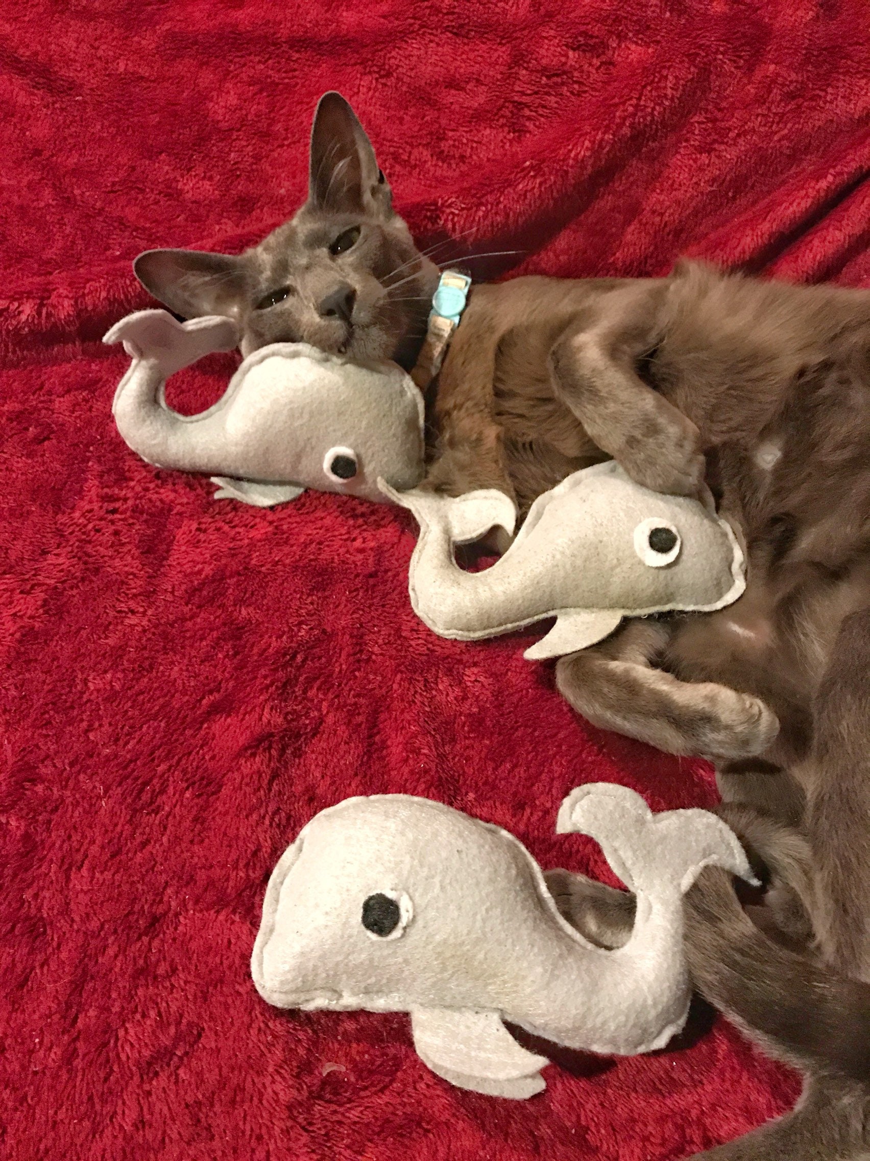 Whale Cat Toy Large Catnip Whale Toys Whale Cat Toys Catnip | Etsy