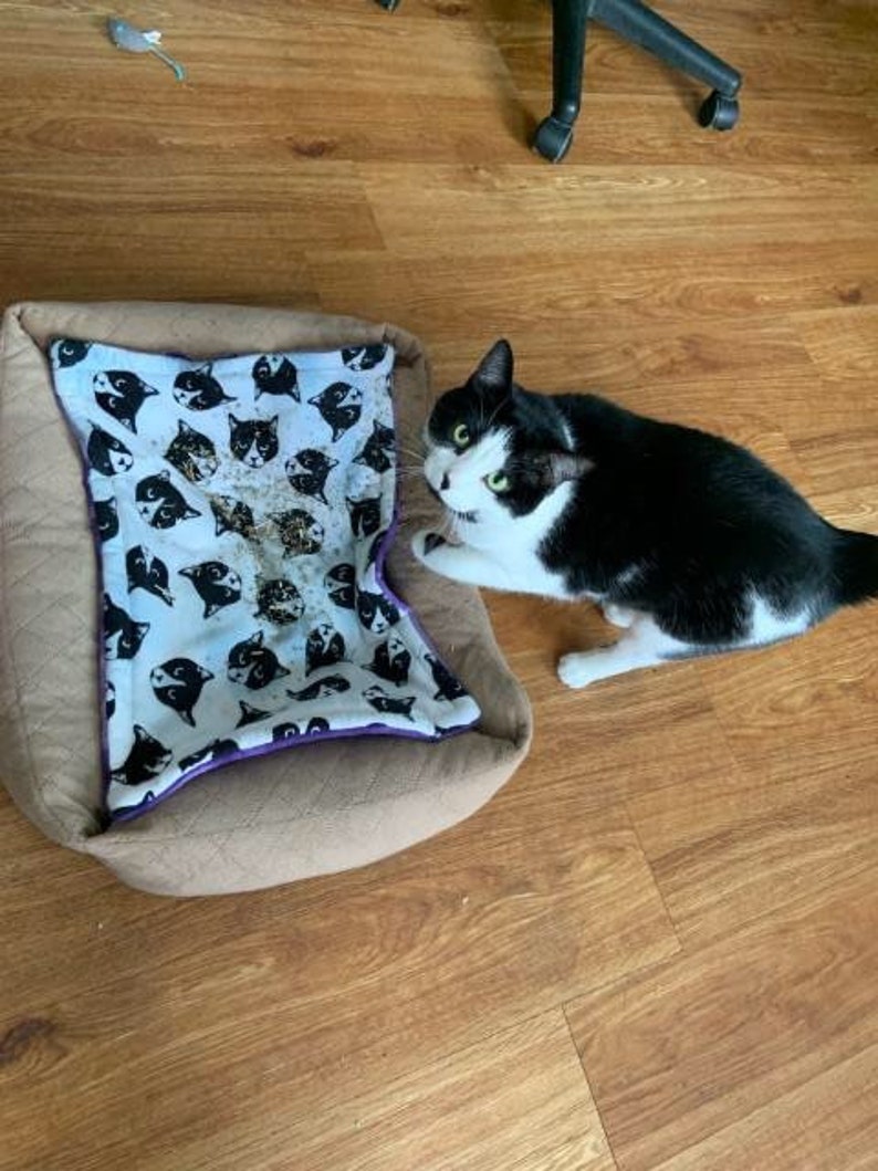 Catnip Cat Mat Cat Mat for Pet Carrier Cat Mat Organic Etsy