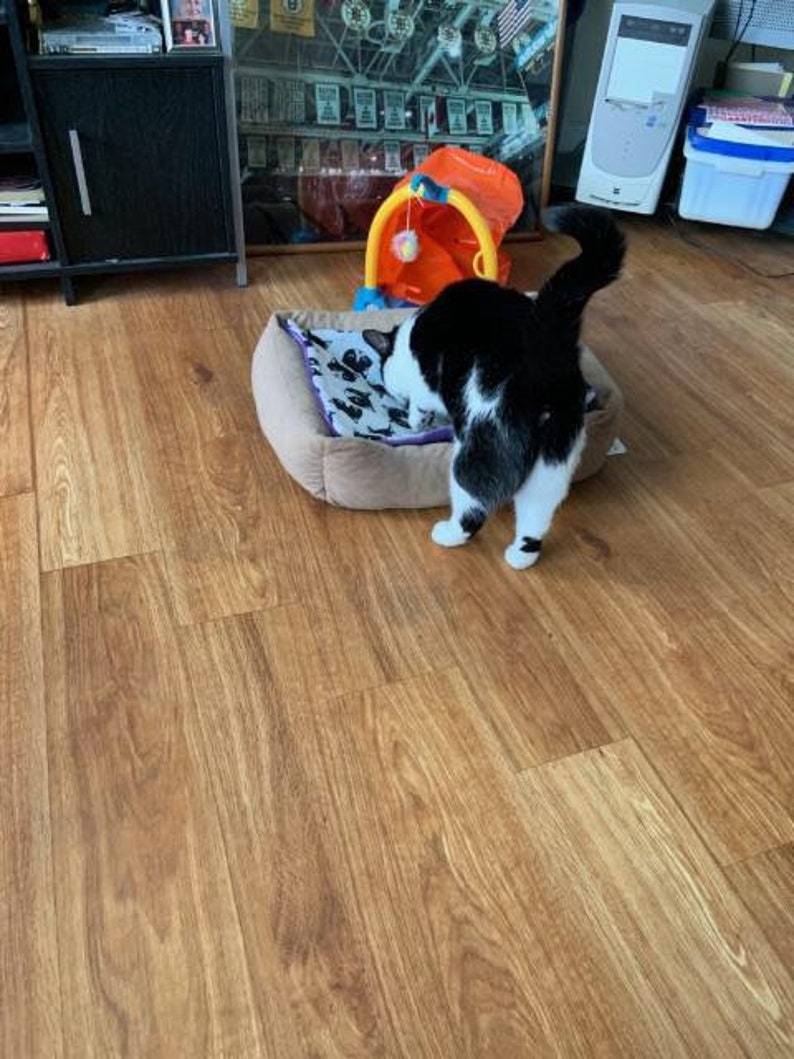 Catnip Cat Mat Cat Mat for Pet Carrier Cat Mat Organic Etsy