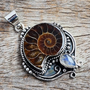 May include: A silver pendant featuring a polished ammonite fossil with a spiral pattern in shades of brown and tan. The pendant also includes a teardrop-shaped moonstone and decorative silver accents.
