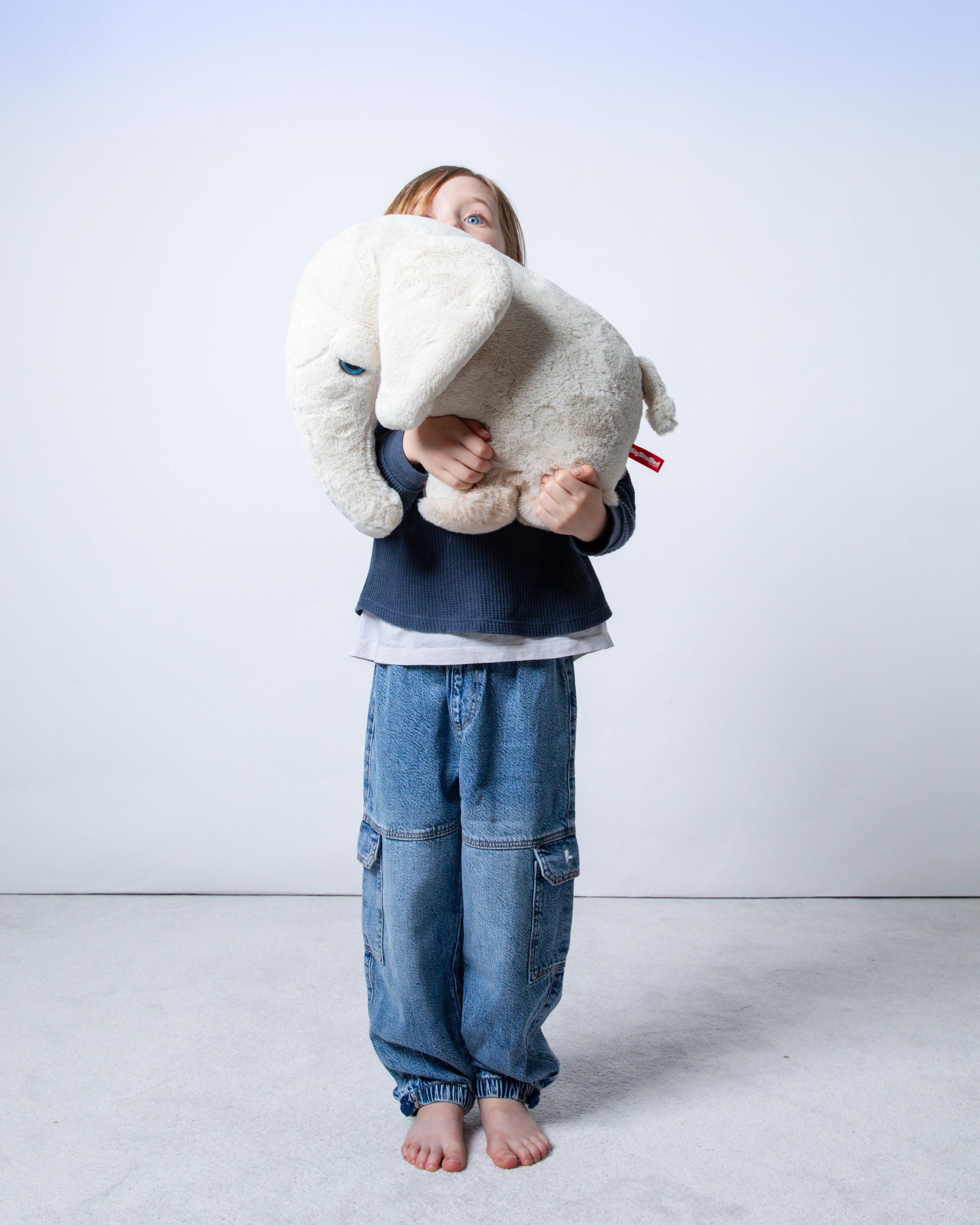 BigStuffed (ビッグ)カニ ボンポワン）NOEL2022限定コラボ BigStuffed (ビッグ)カニ ボンポワン）NOEL2022限定コラボ